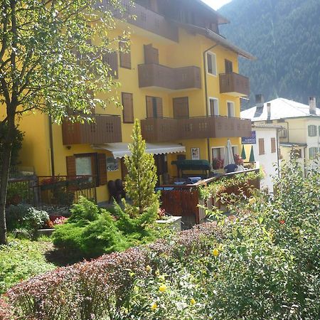 Albergo Ristorante Iris Ауронцо ди Кадоре Екстериор снимка